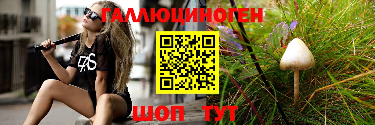 Галлюциногенные грибы Psilocybe Кропоткин