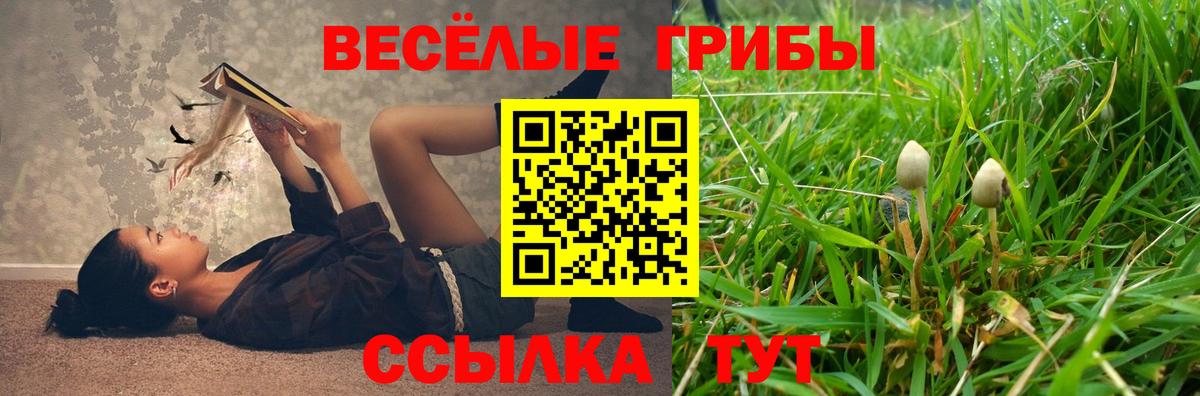 Кропоткин  Галлюциногенные грибы мицелий  Вход с VPN 